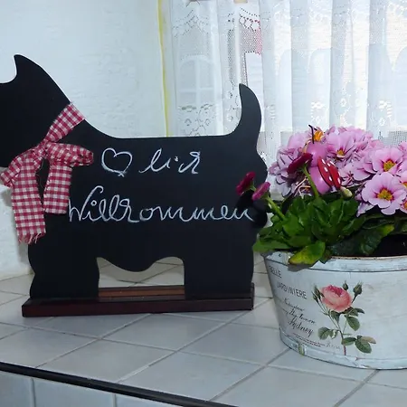 Relaxen Am Nationalpark Eifel