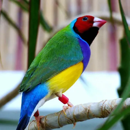Relaxen Am Nationalpark Eifel Prázdninový dům Ahrhutte