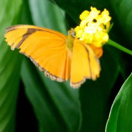 Relaxen Am Nationalpark Eifel Prázdninový dům *