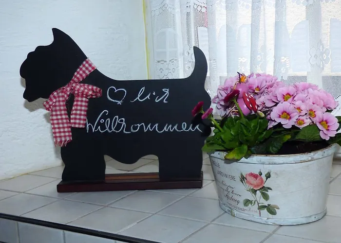 Relaxen Am Nationalpark Eifel