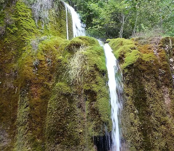 Relaxen Am Nationalpark Eifel Ahrhutte