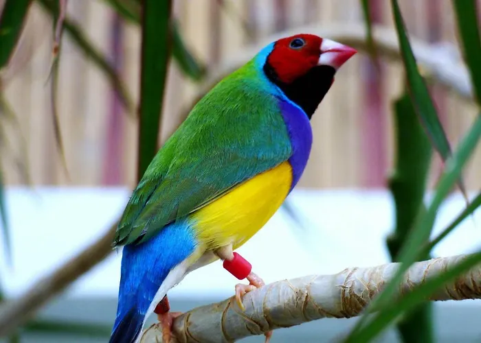 Relaxen Am Nationalpark Eifel 펜션 Ahrhutte