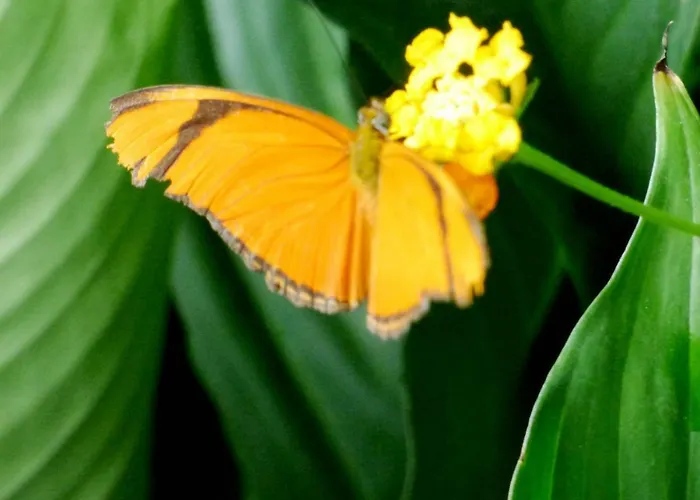 Relaxen Am Nationalpark Eifel 펜션 *